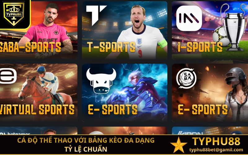 Cá độ thể thao với bảng kèo đa dạng tỷ lệ chuẩn